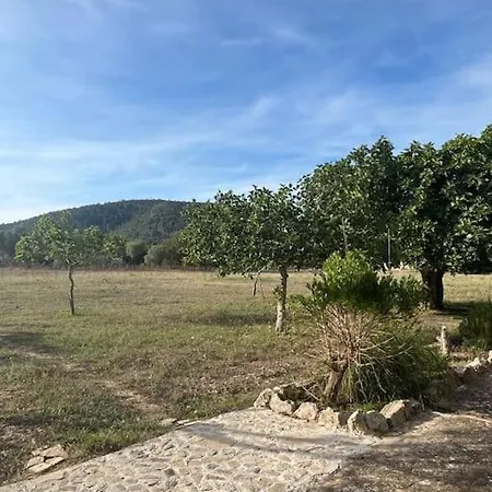 Finca Es Born - Vistas Panoramicas Esporles Buitenkant foto